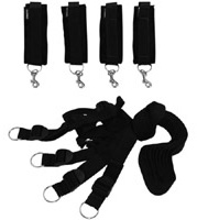 Under the Bed Restraint System